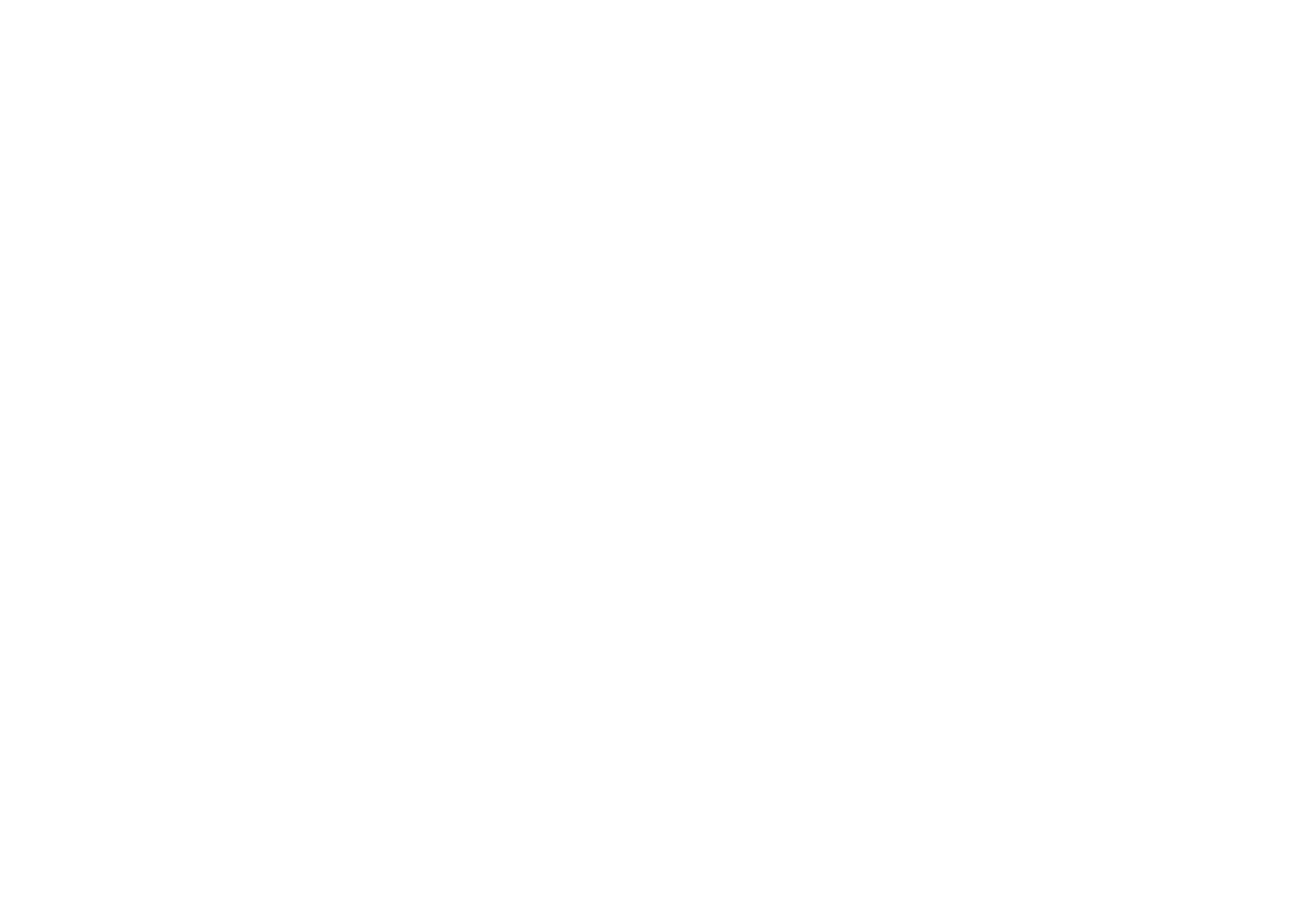 A Rebellious Nature Logo White